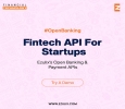 Get Open Banking & Payment API for B2B Fintech Software